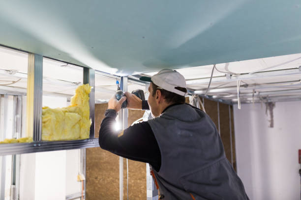 Best Insulation Contractor Near Me  in The Village, OK